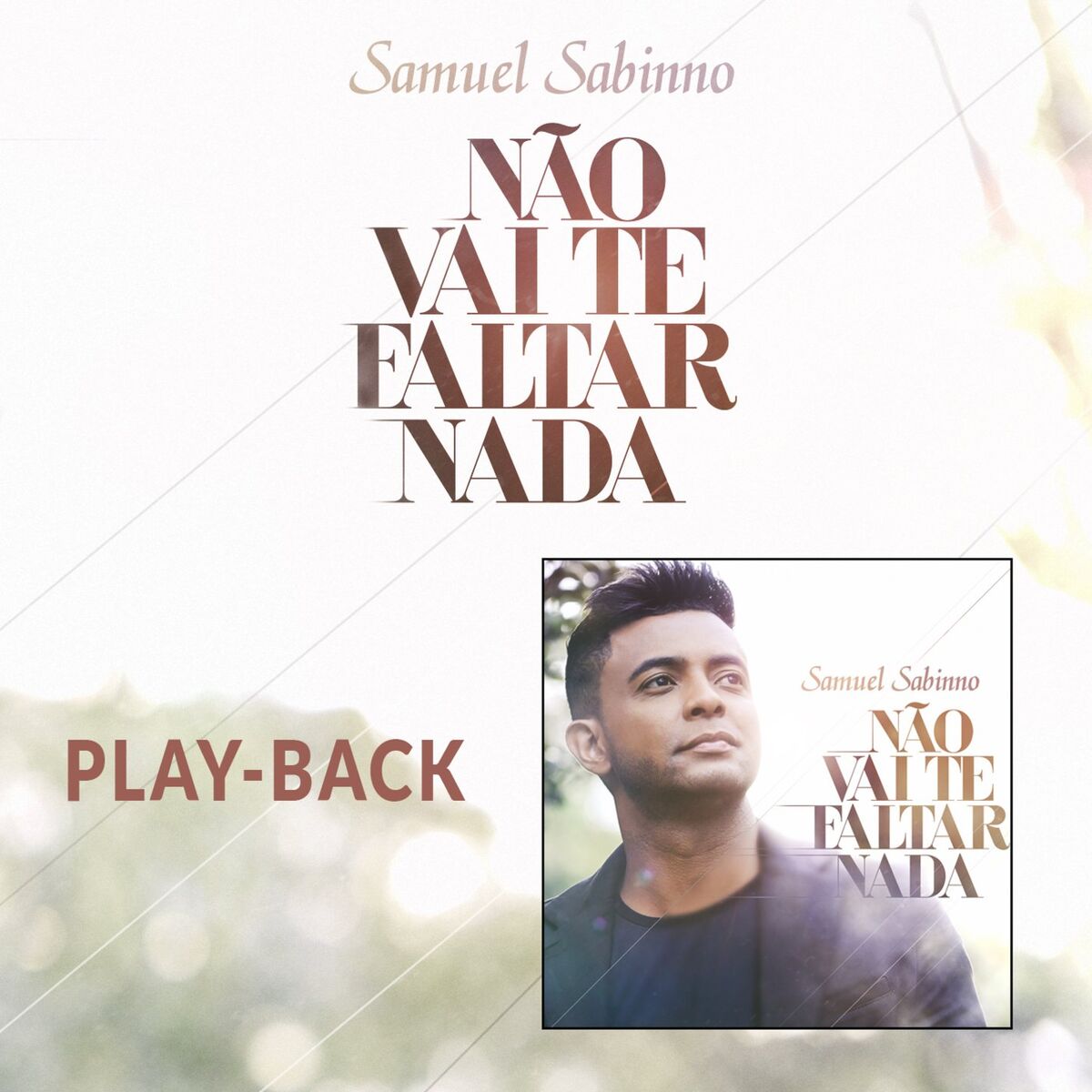 Album cover of Não Vai Te Faltar Nada (Playback)