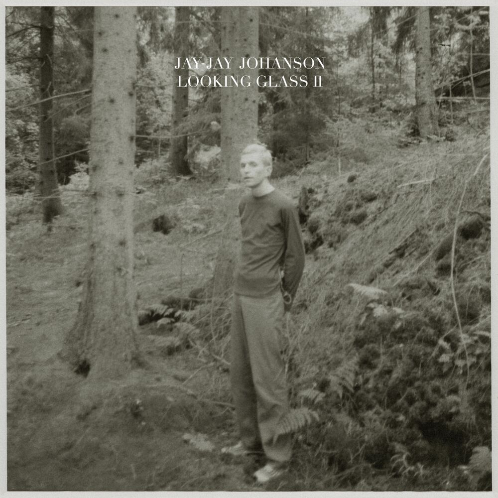 Picture of Looking Glass, Vol. 2 (Bury the Hatchet Bonus Album)