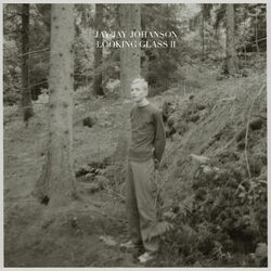 Cover of Looking Glass, Vol. 2 (Bury the Hatchet Bonus Album)