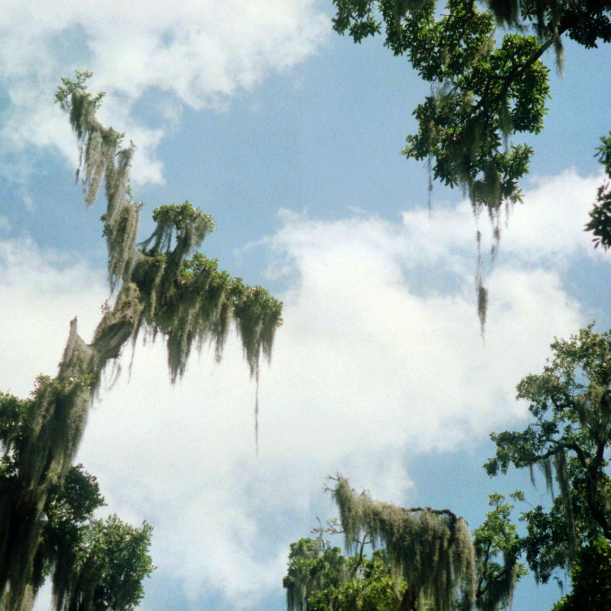 Album cover of Second World