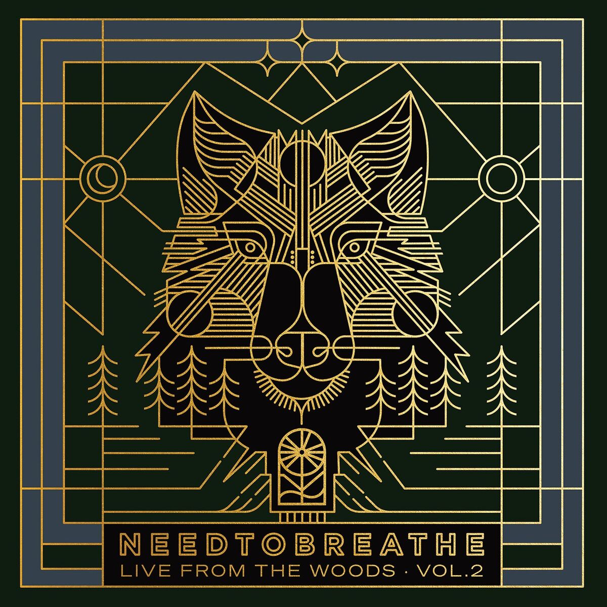 Album cover of Live From the Woods Vol. 2