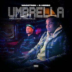 Cover of Umbrella