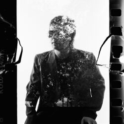 Cover of Aullando a la Luna