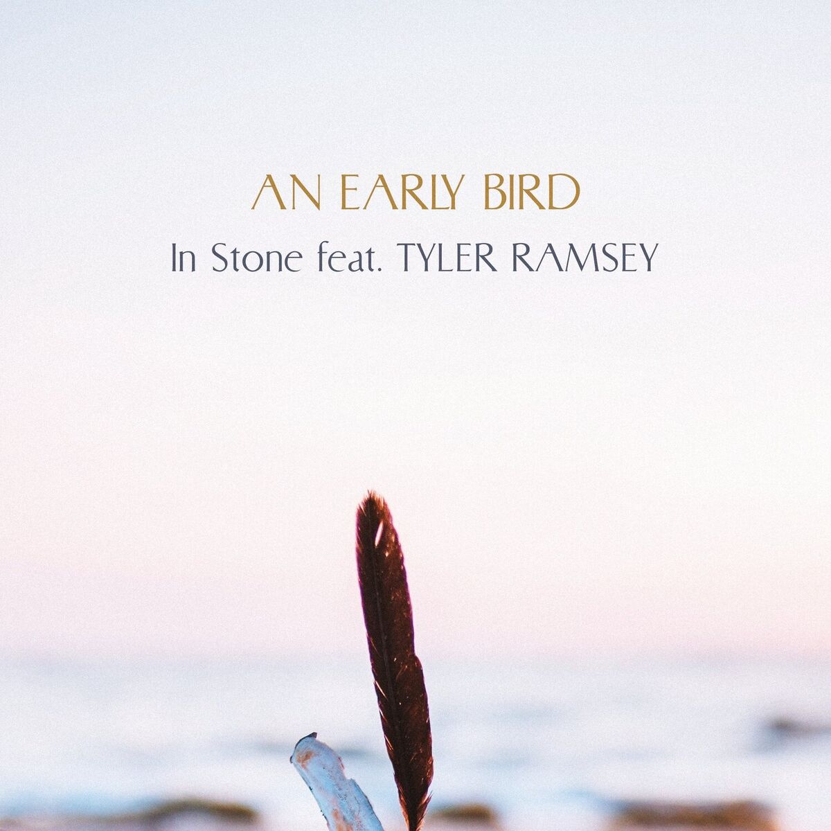 Album cover of In Stone