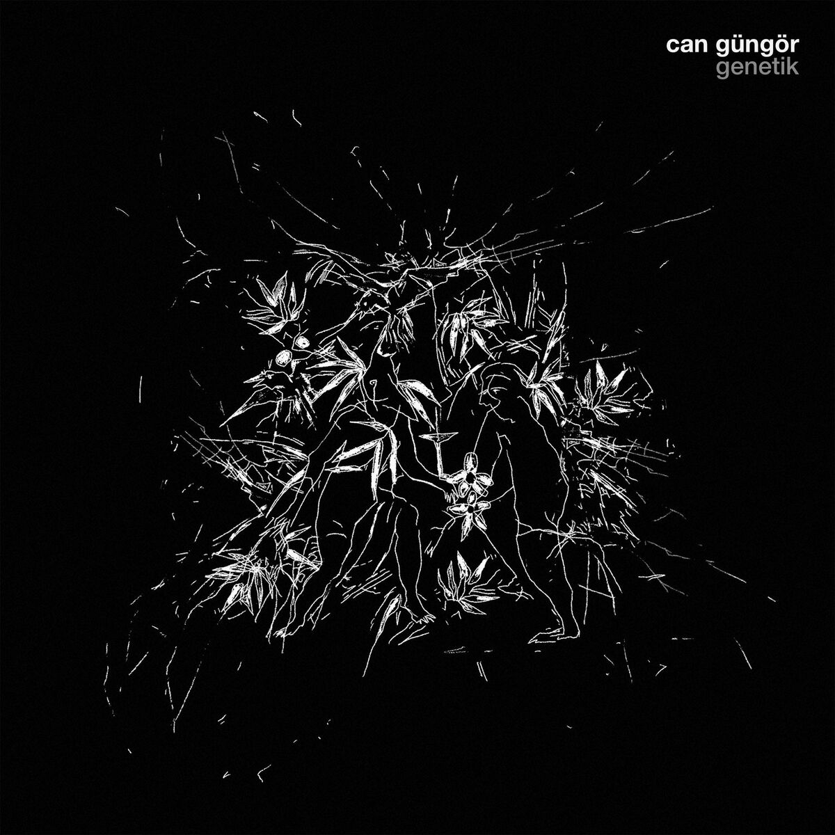 Album cover of Genetik