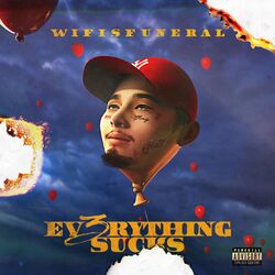 Cover of EV3RYTHING SUCKS