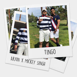 Cover of Tingo