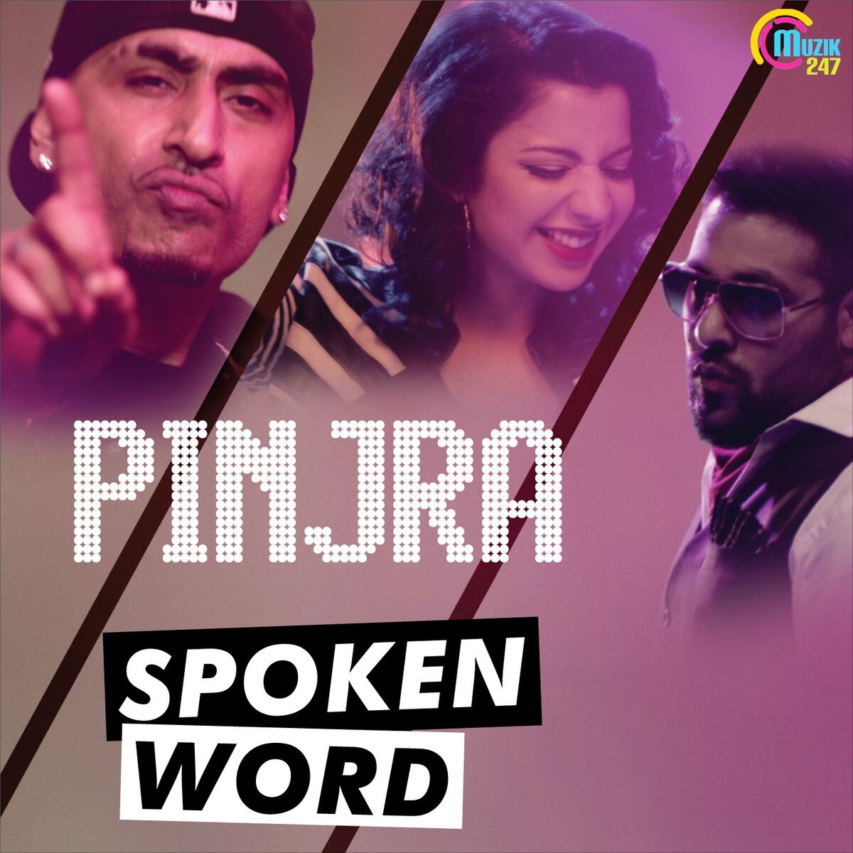 Album cover of Pinjra