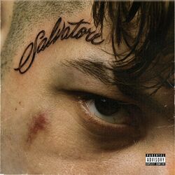 Cover of Salvatore