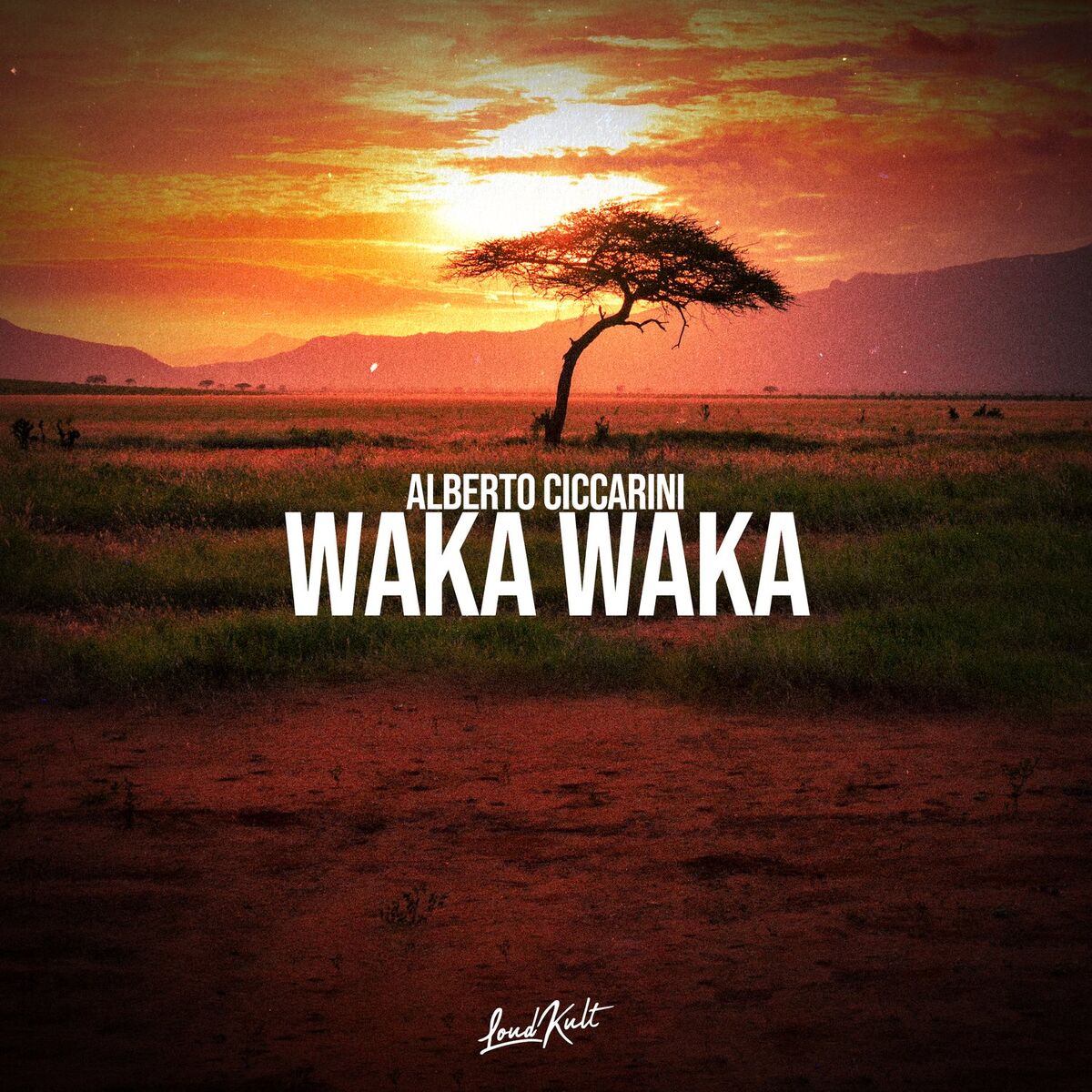 Album cover of Waka Waka