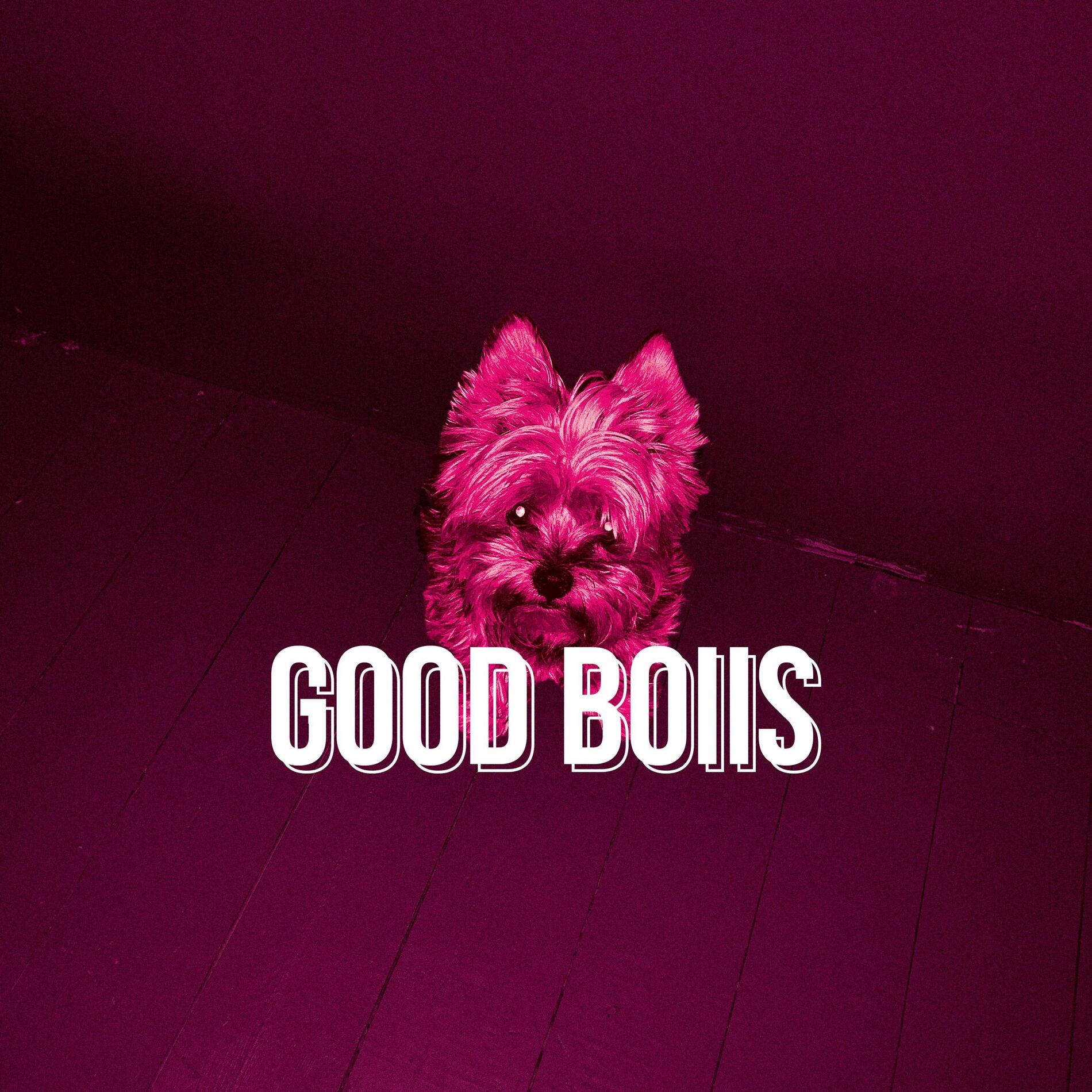Album cover of Good Boiis