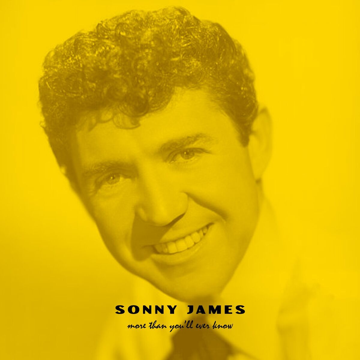 Album cover of More Than You'll Ever Know