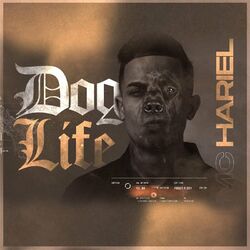Cover of Dog Life