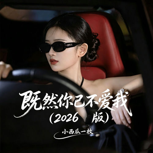 既然你已不爱我 (2026版)