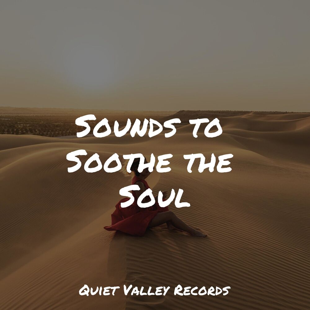 Picture of Sounds to Soothe the Soul