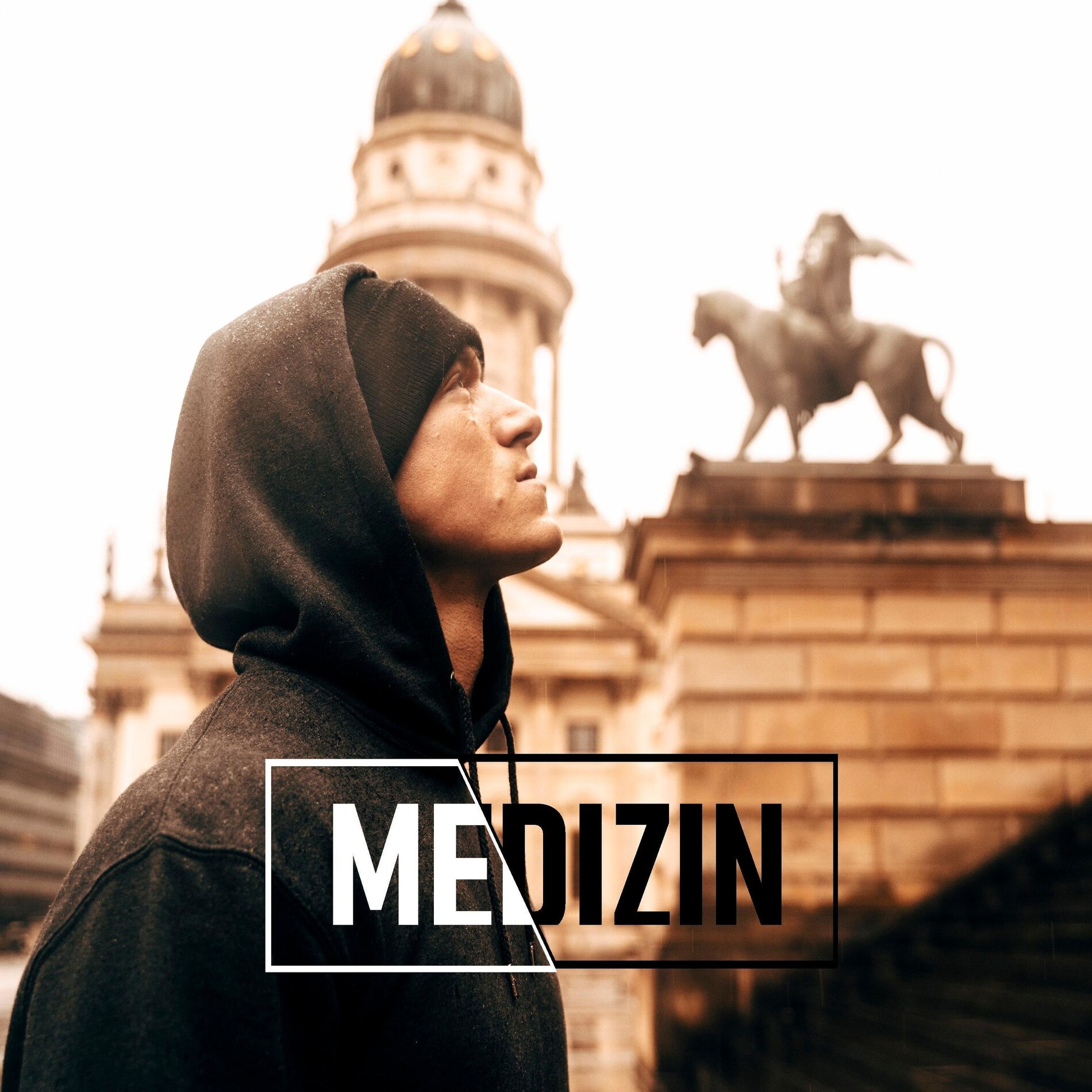 Album cover of Medizin (feat. Serk)