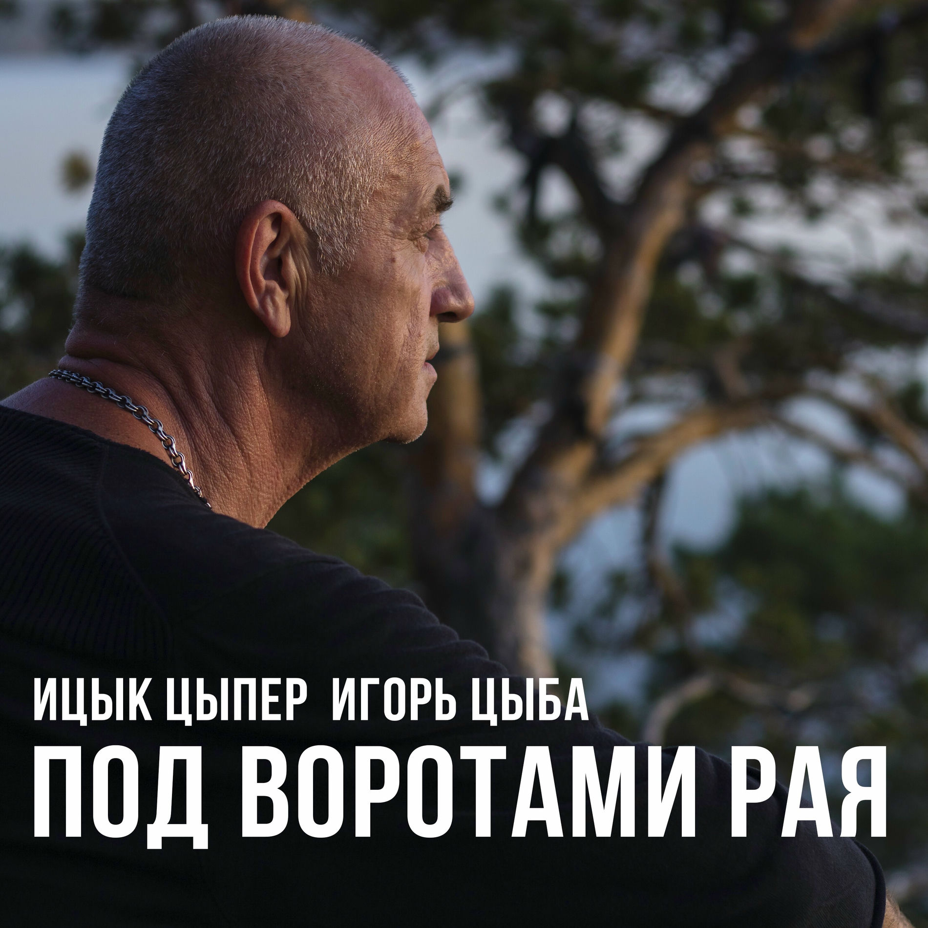 Album cover of Под воротами рая