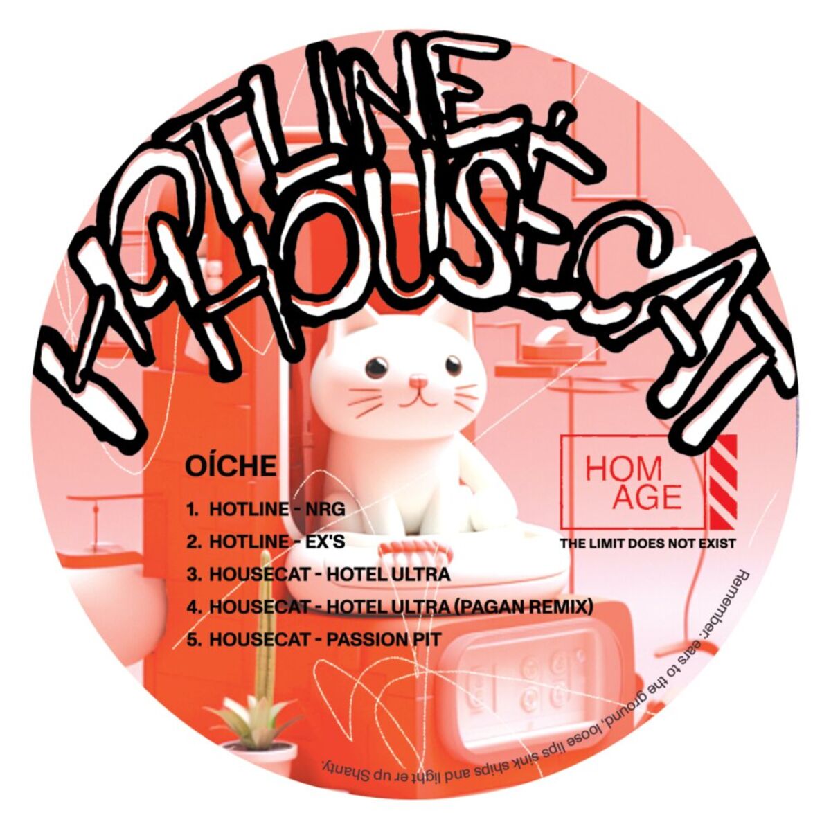 Album cover of Oíche