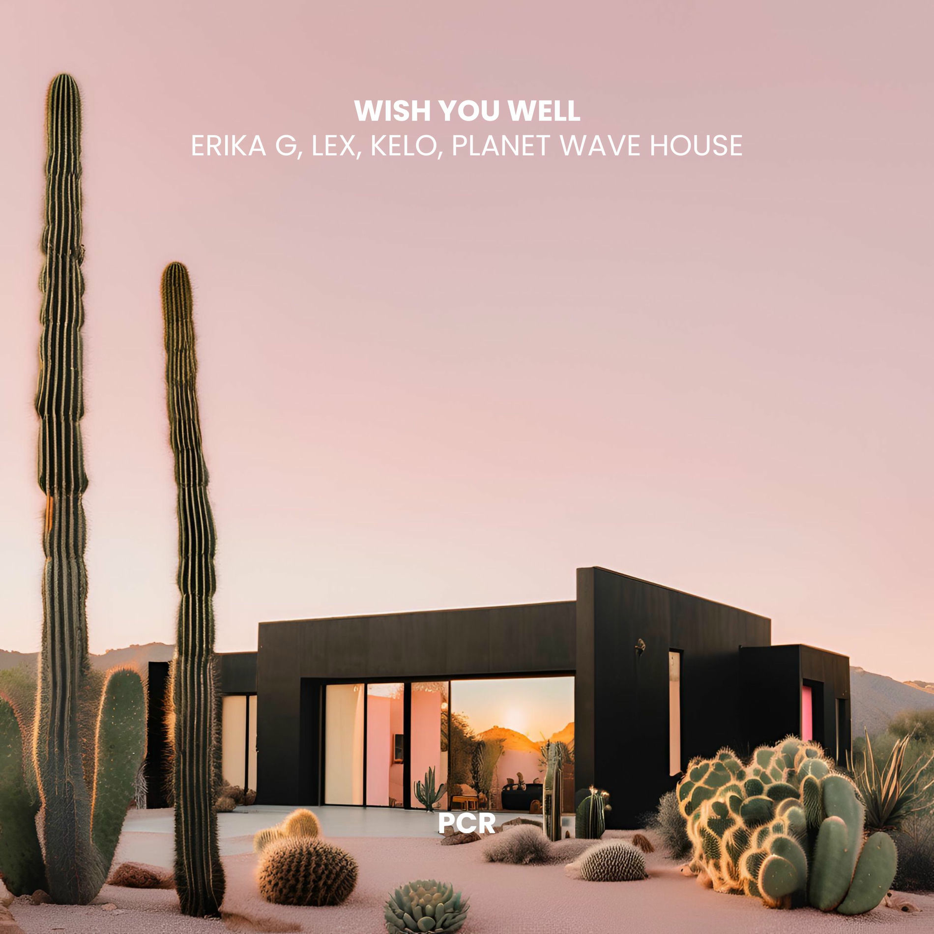 Album cover of Wish You Well