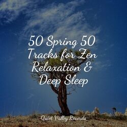 Cover of 50 Spring 50 Tracks for Zen Relaxation & Deep Sleep