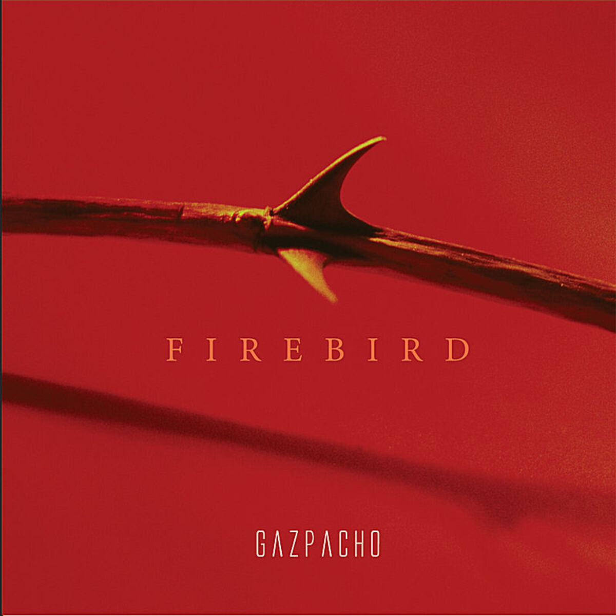 Album cover of Firebird