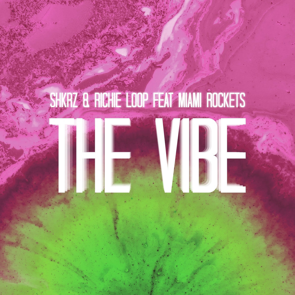 Album cover of The Vibe