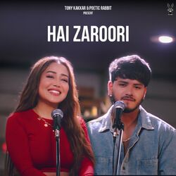 Cover of Hai Zaroori