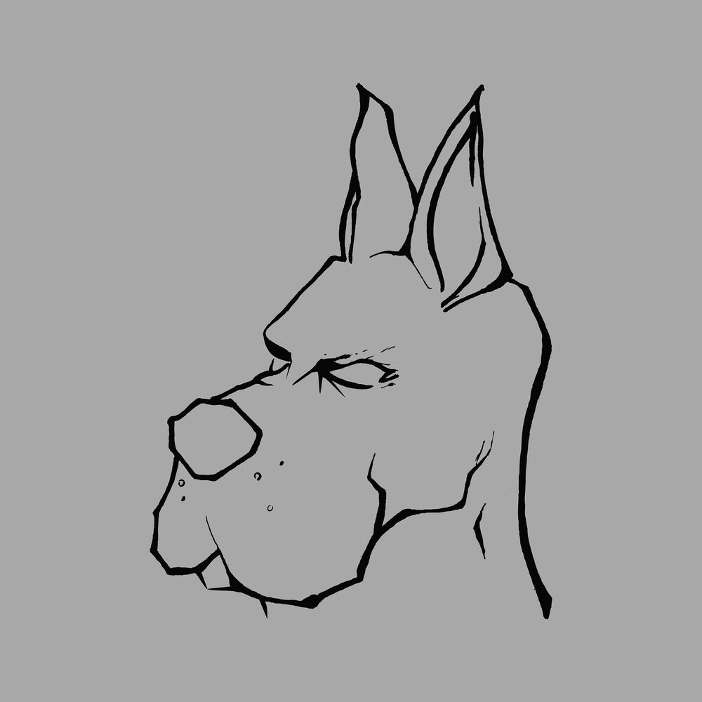 Picture of Scooby