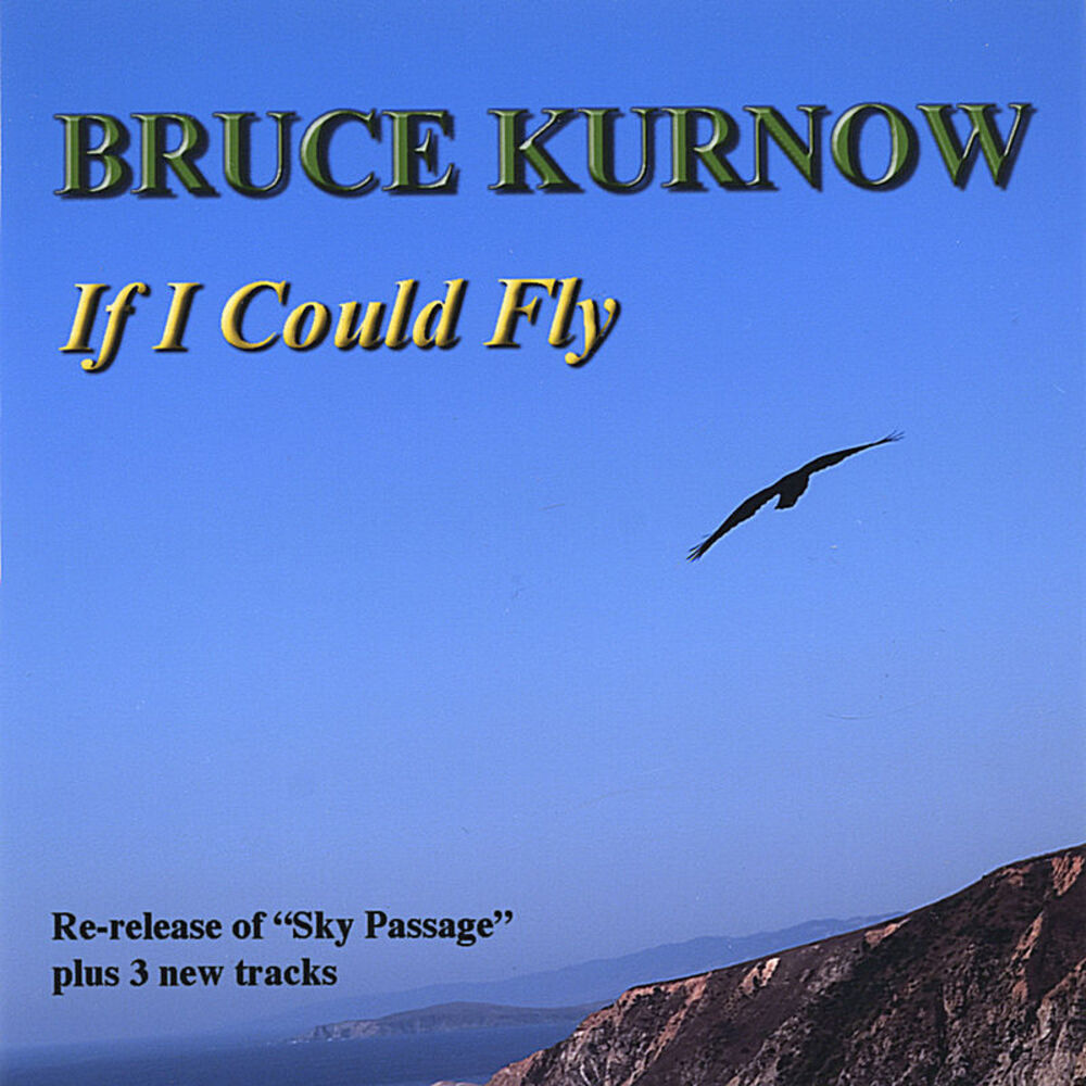 Picture of If I Could Fly