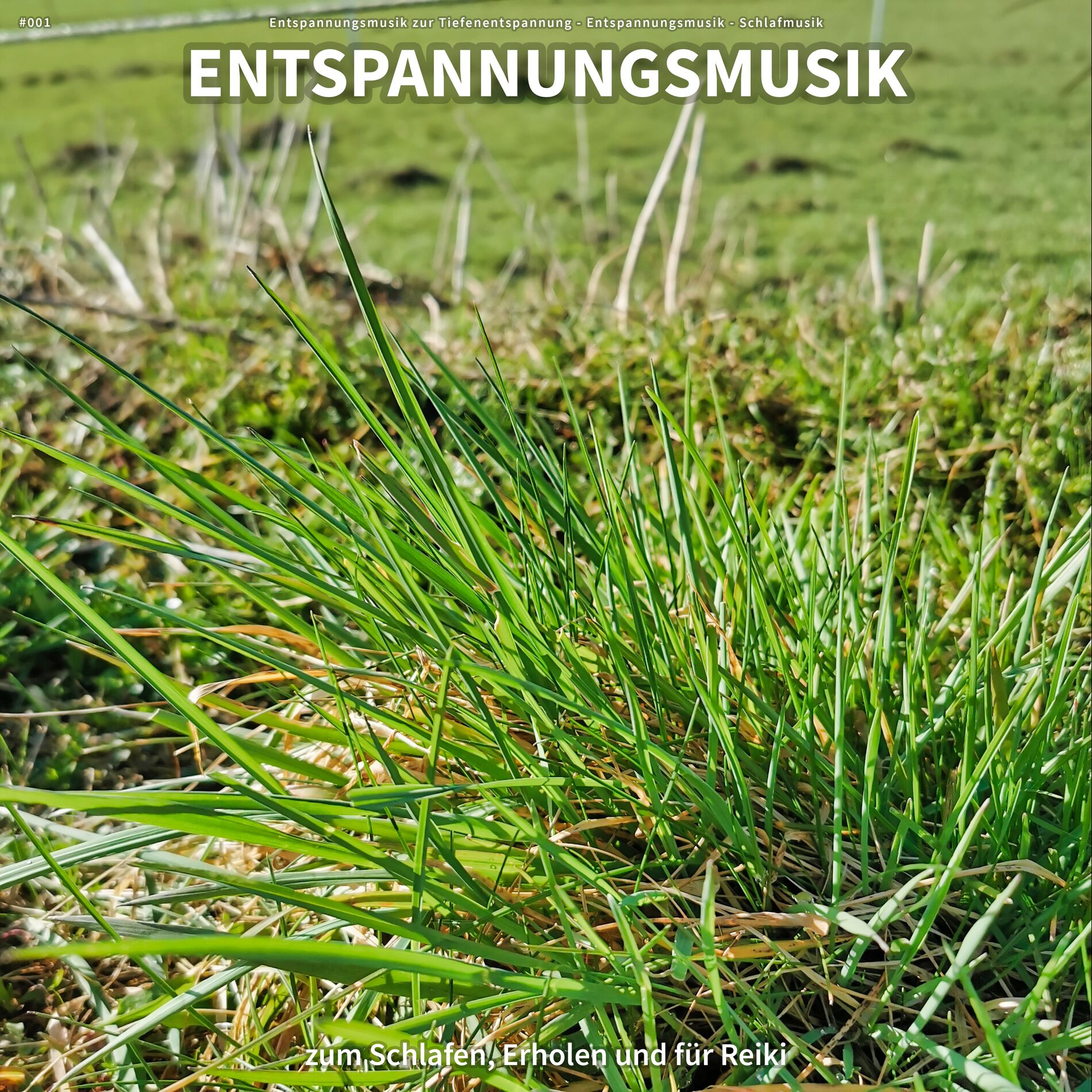 Album cover of #001 Entspannungsmusik zum Schlafen, Erholen und für Reiki