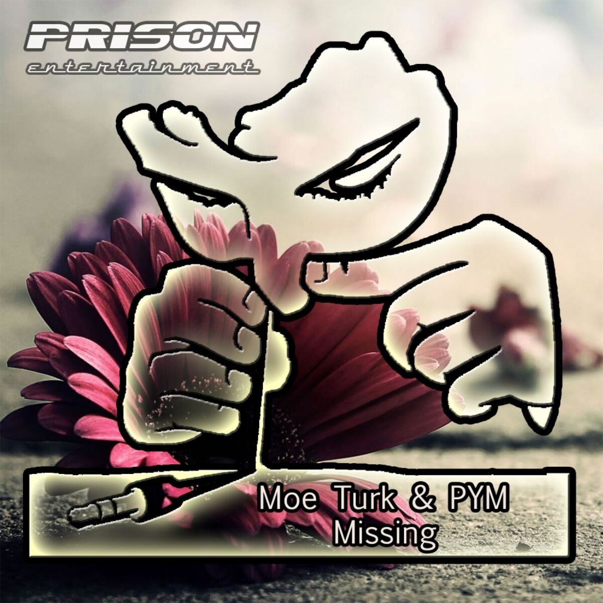 Album cover of Missing