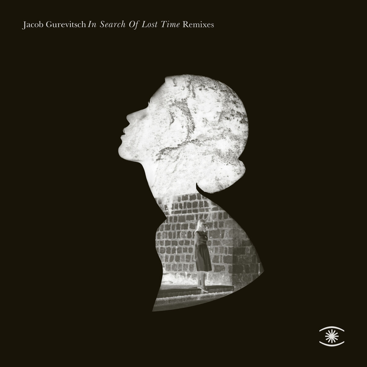 Album cover of In Search of Lost Time (Danilo Braca Remix)