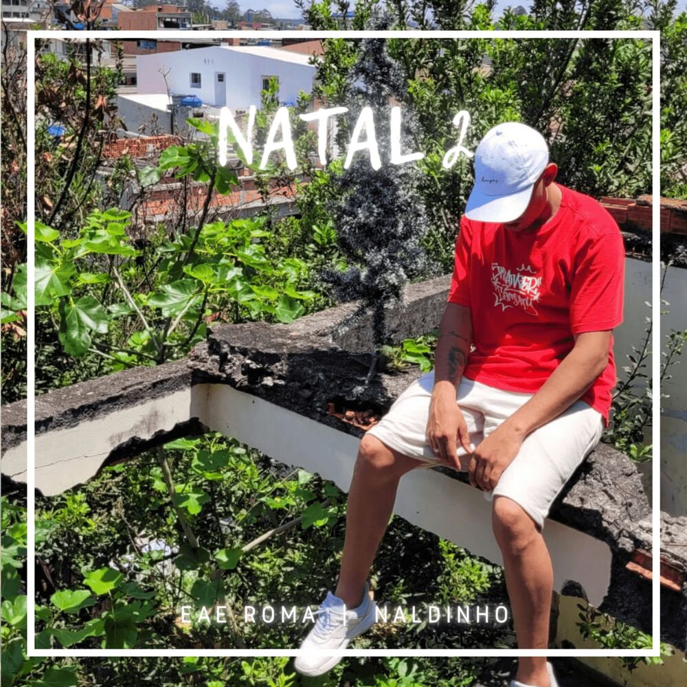 Picture of Natal 2