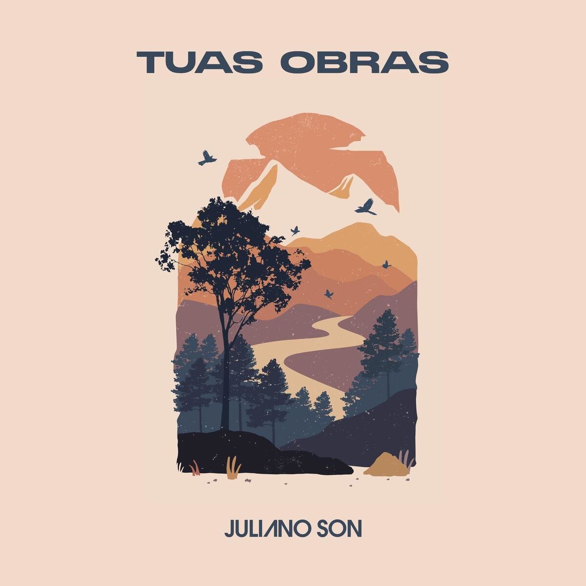 Album cover of Tuas Obras