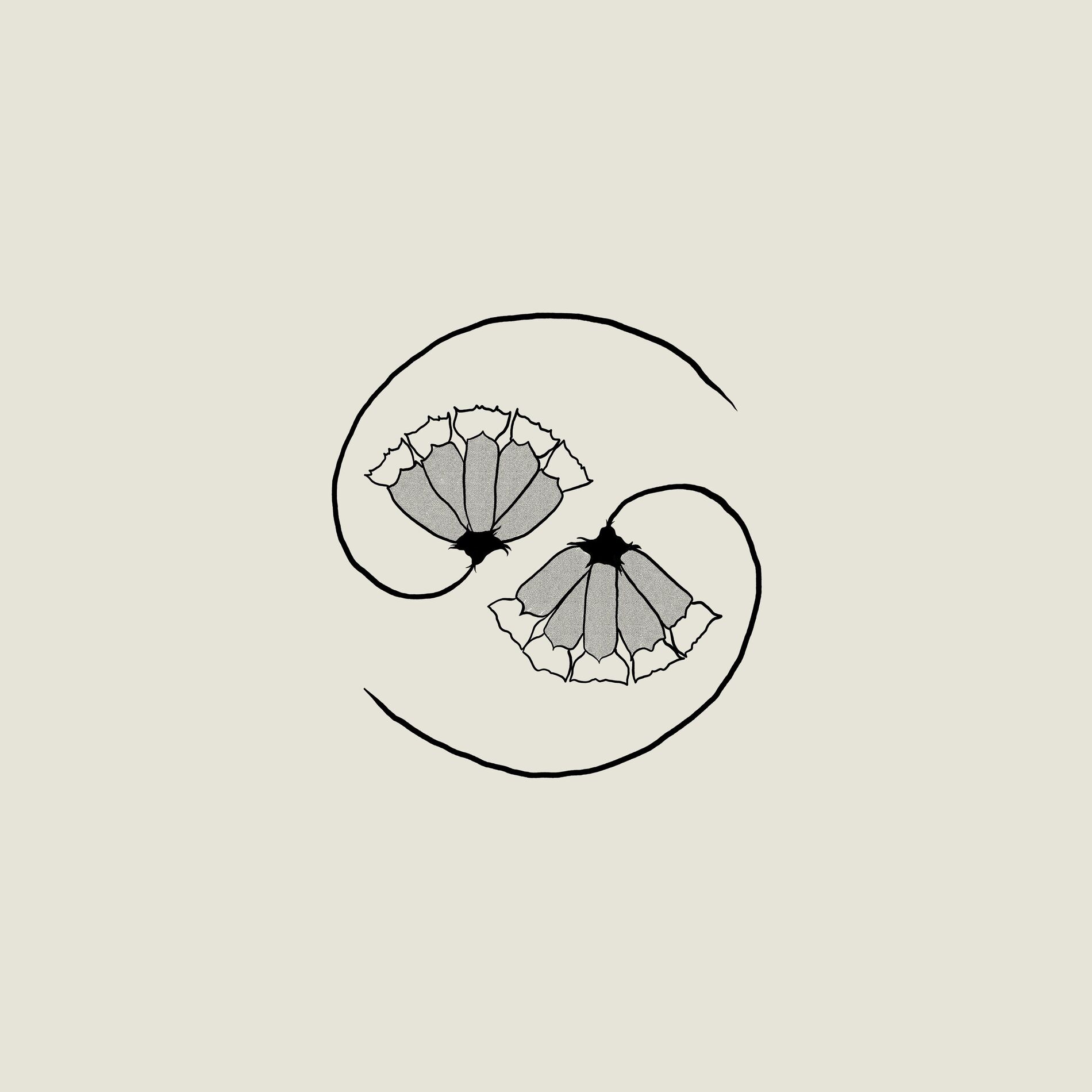 Album cover of Job's Lament