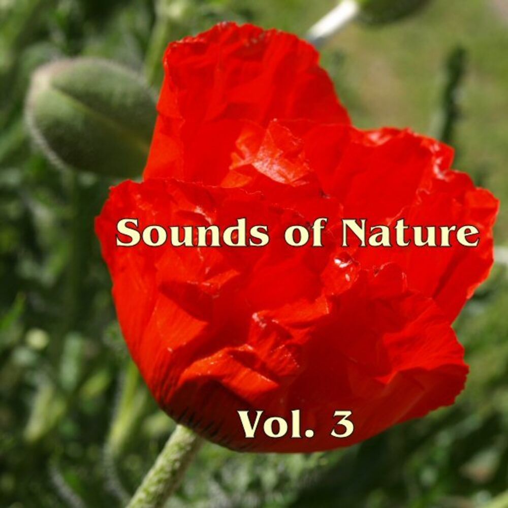 Picture of Sounds Of Nature Vol. 3