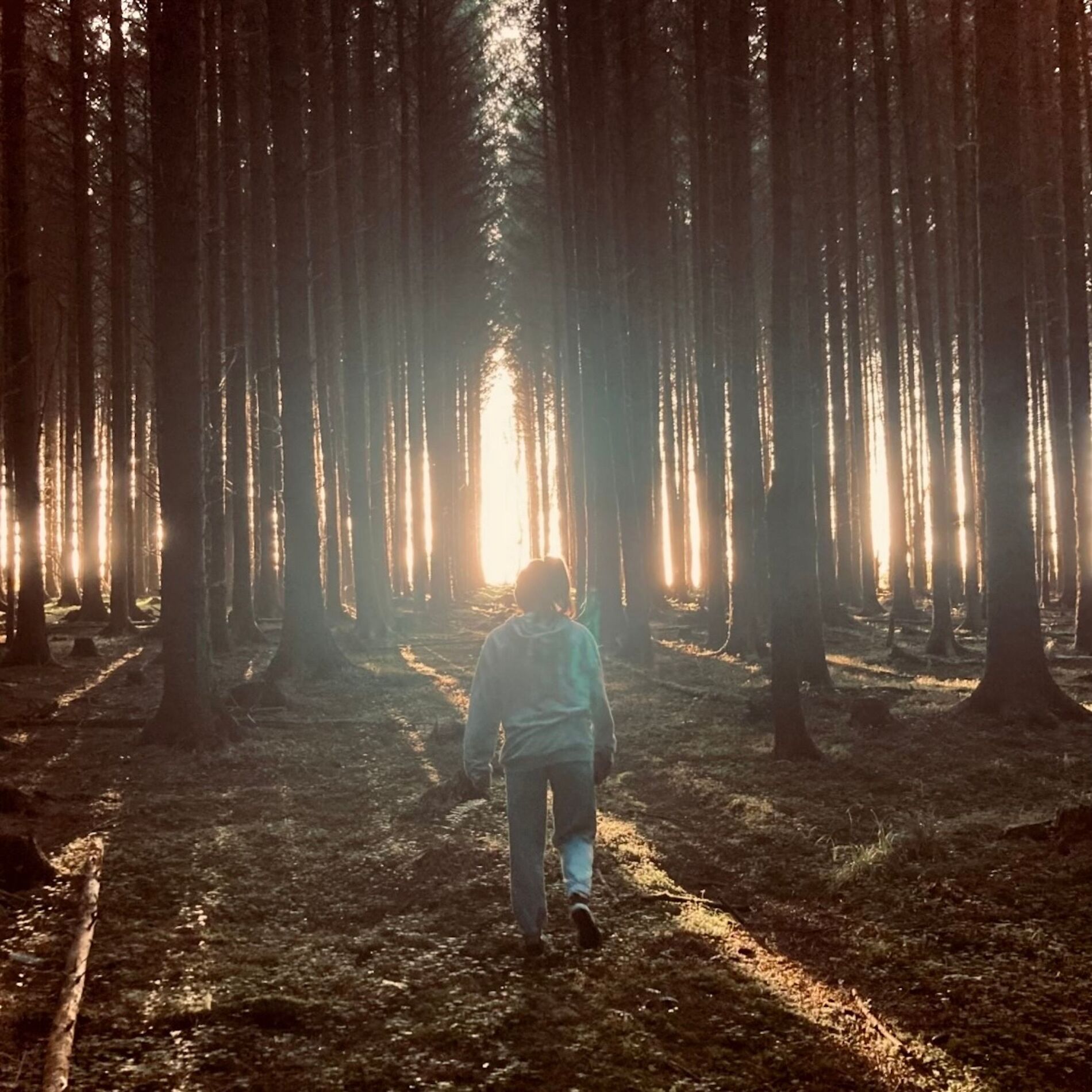 Album cover of No Greater Love
