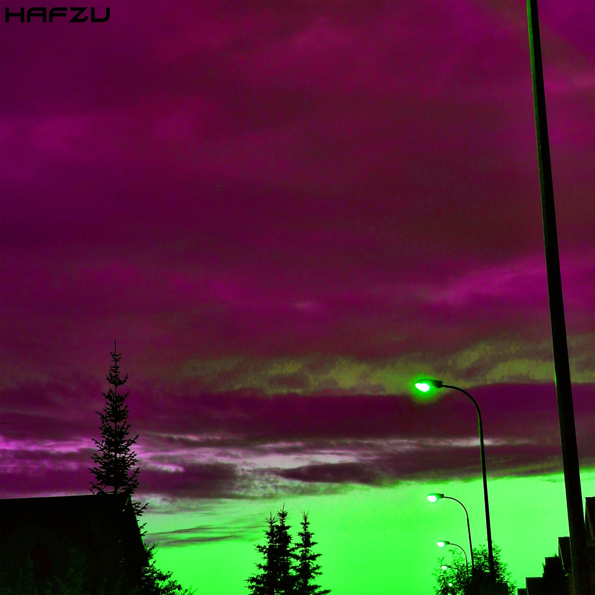 Album cover of HAFZU
