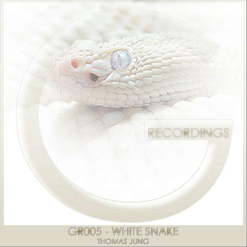 Picture of GR005 - White Snake