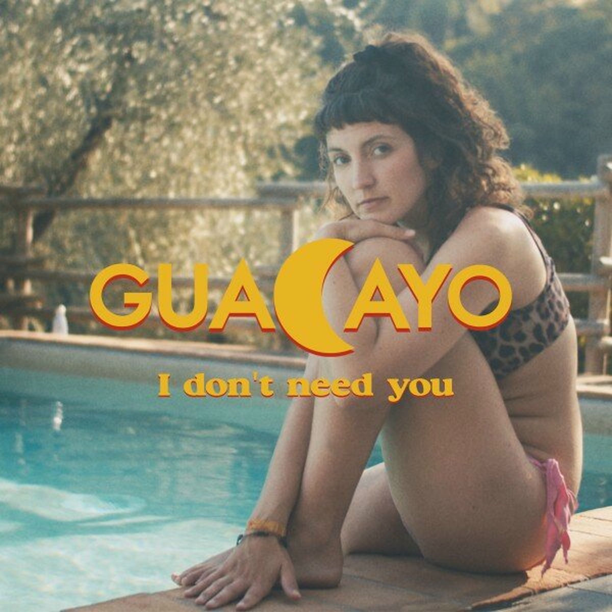 Album cover of I Don't Need You