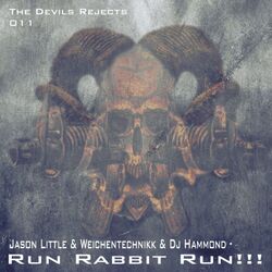 Cover of Run Rabbit Run