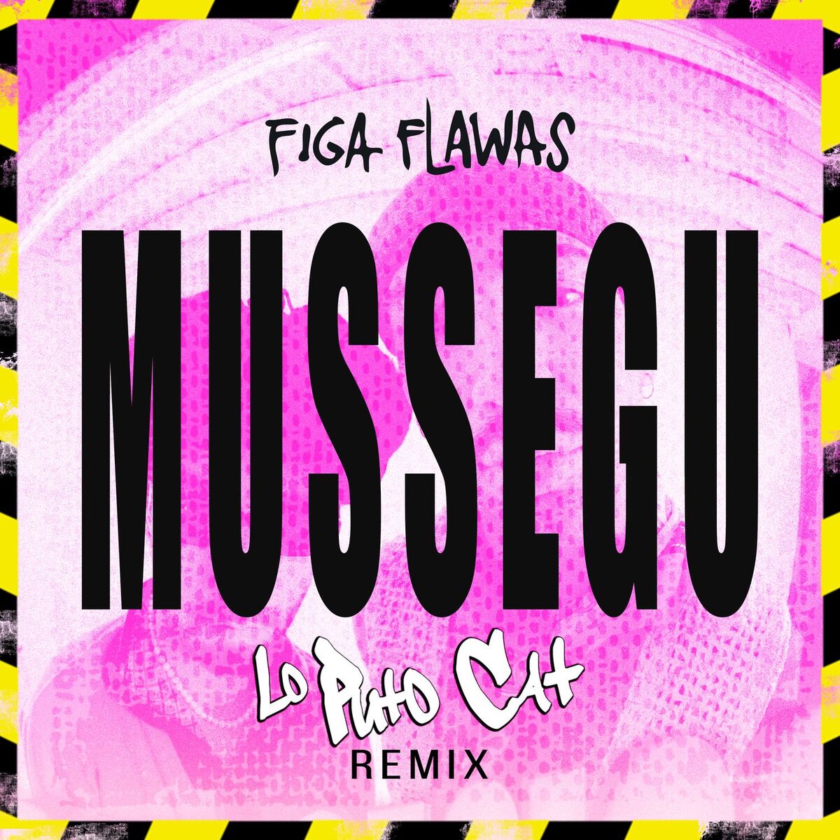Album cover of MUSSEGU (Lo Puto Cat remix)