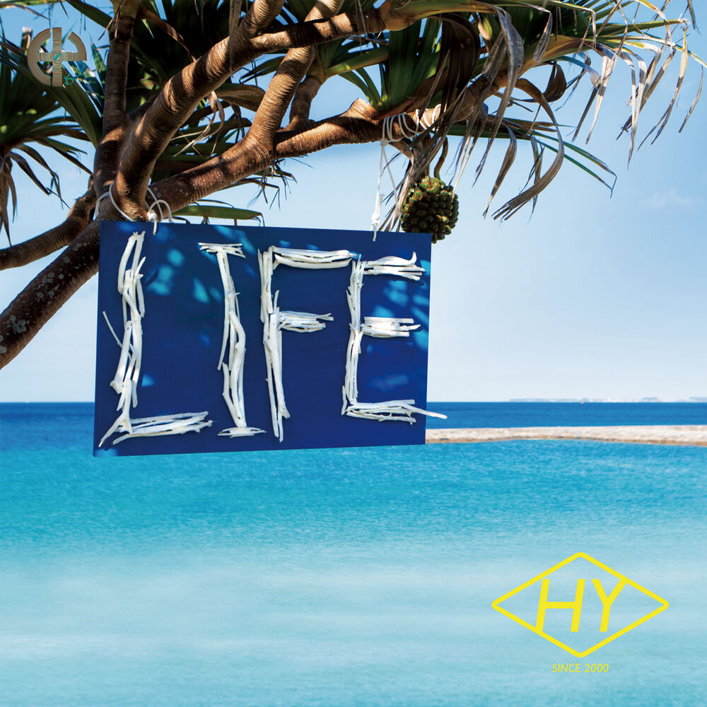 Picture of Life
