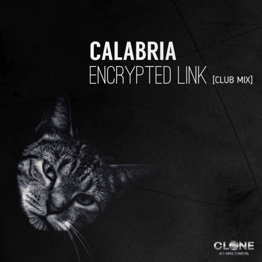 Picture of Encrypted Link (Club Mix)