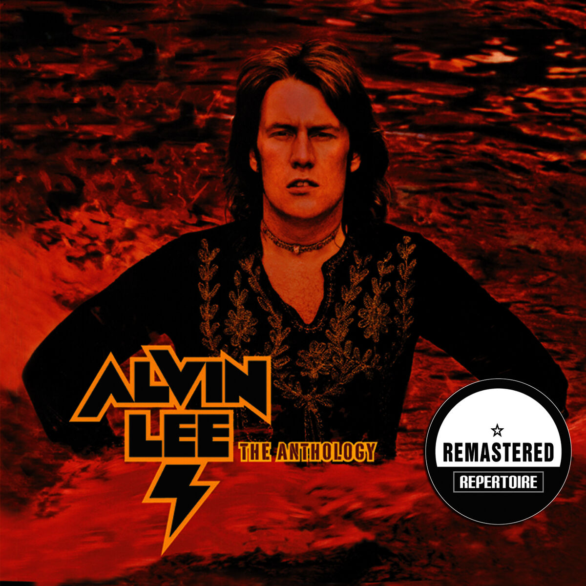 Album cover of The Anthology (Remastered)