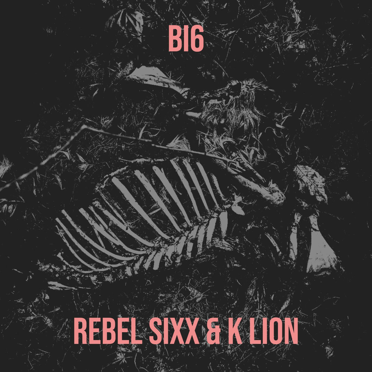 Album cover of Bi6