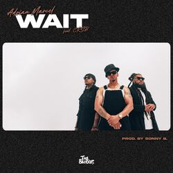 Cover of WAIT (feat. CRSB)