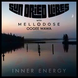Cover of Inner Energy