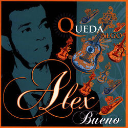 Cover of Queda Algo