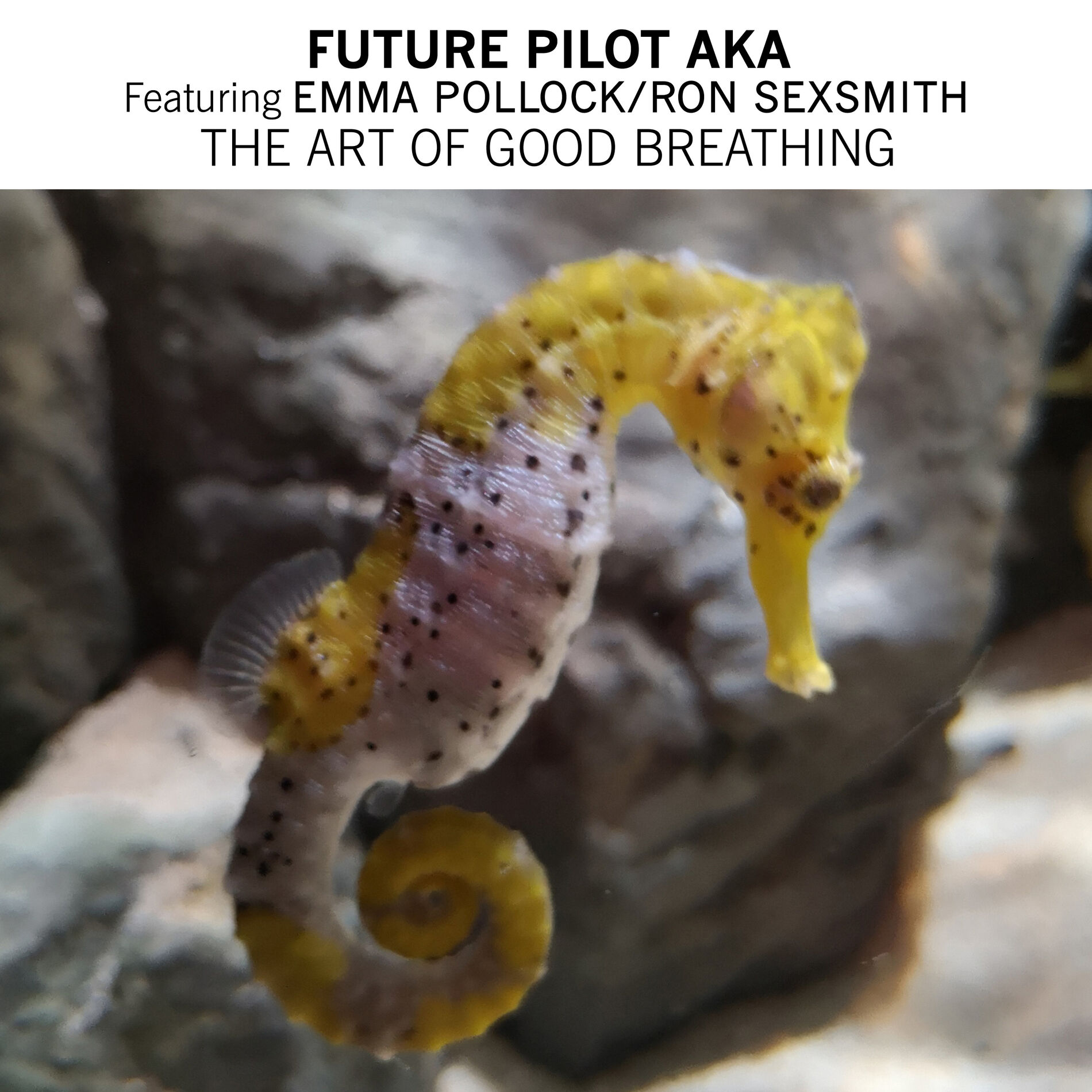Album cover of The Art Of Good Breathing